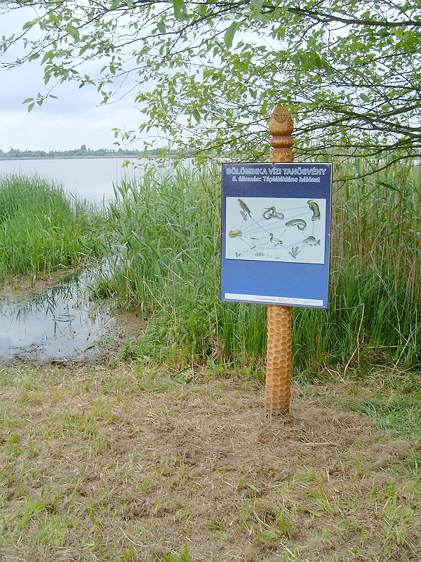 20100529 004.jpg